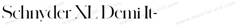 Schnyder XL Demi It字体转换